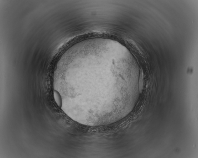 X0000090430776200708031129