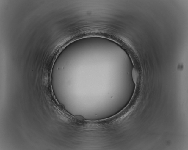 X0000090430777200708031128