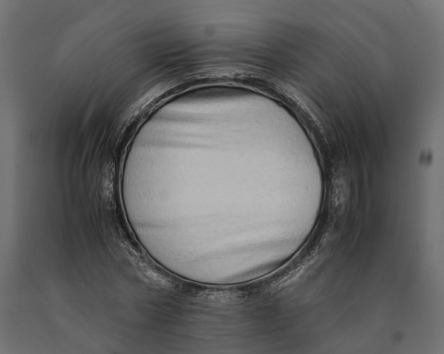 X0000090430778200708031128
