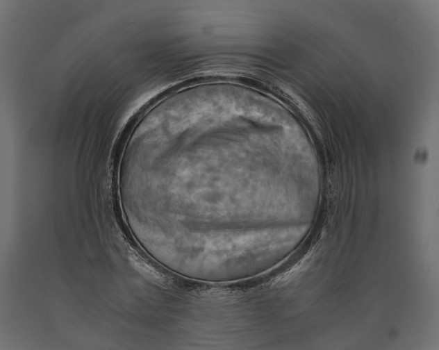 X0000090430779200708031128