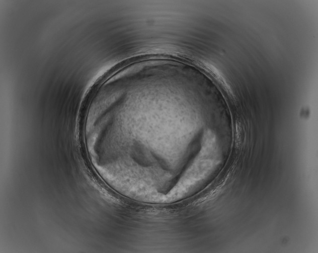 X0000090430780200708031128