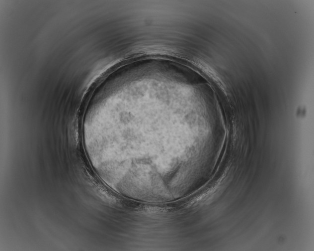 X0000090430782200708031128