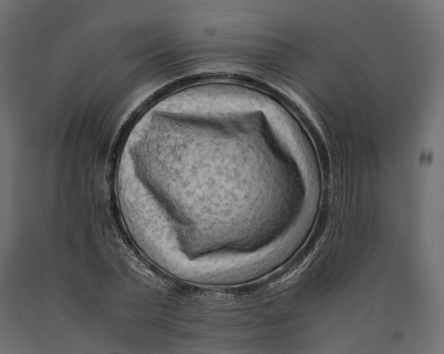 X0000090430783200708031128