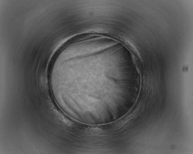 X0000090430784200708031128