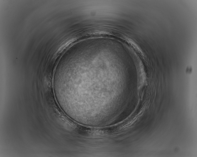 X0000090430785200708031128