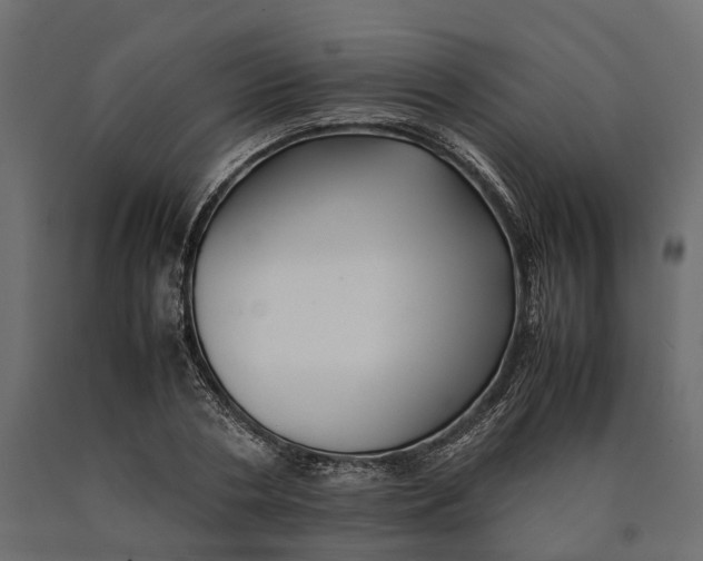 X0000090430786200708031128
