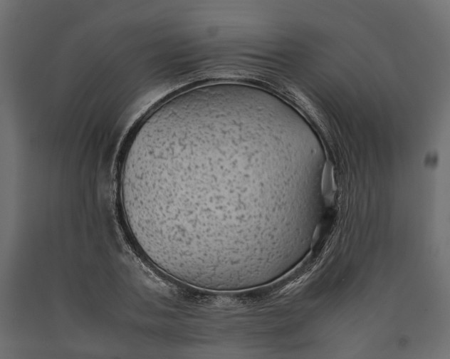 X0000090430787200708031128