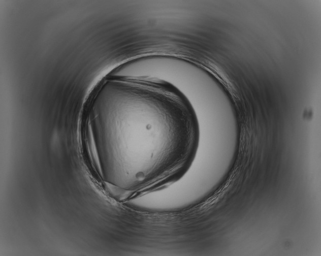 X0000090430788200708031128