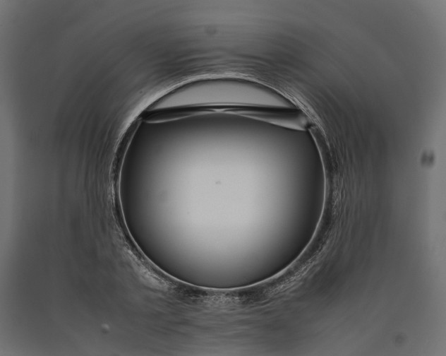 X0000090430789200708031128