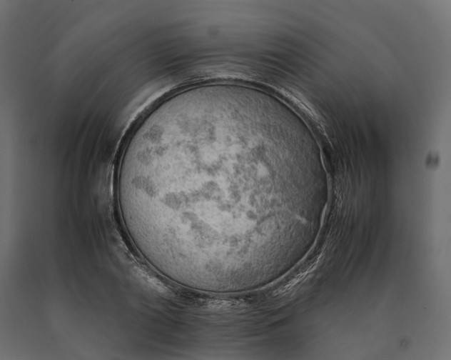 X0000090430790200708031128