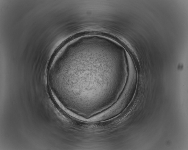 X0000090430791200708031128