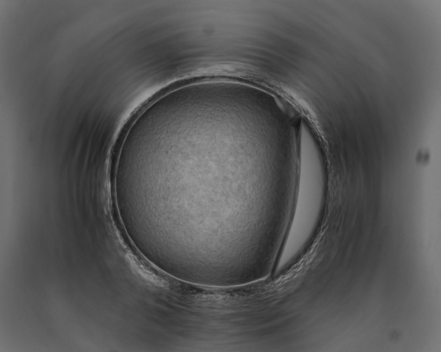 X0000090430792200708031128