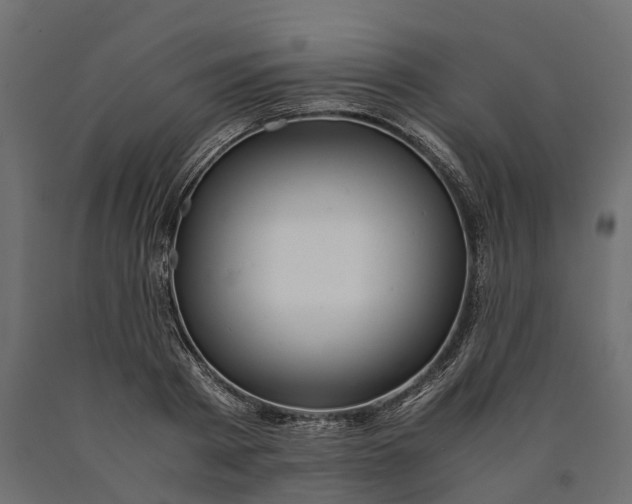 X0000090430793200708031128