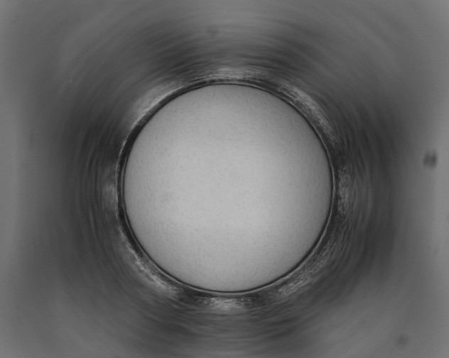 X0000090430794200708031128