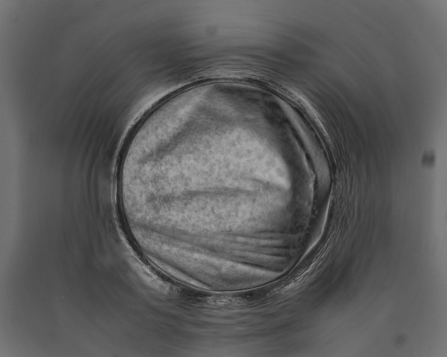 X0000090430795200708031128