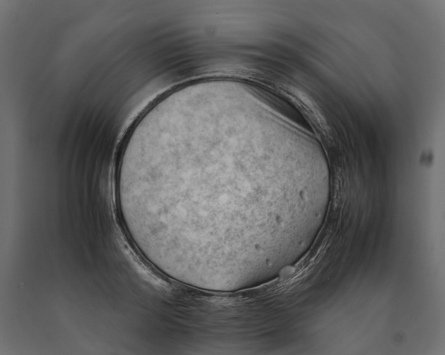X0000090430796200708031128