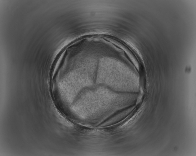 X0000090430797200708031128