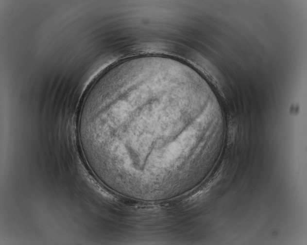 X0000090430798200708031128