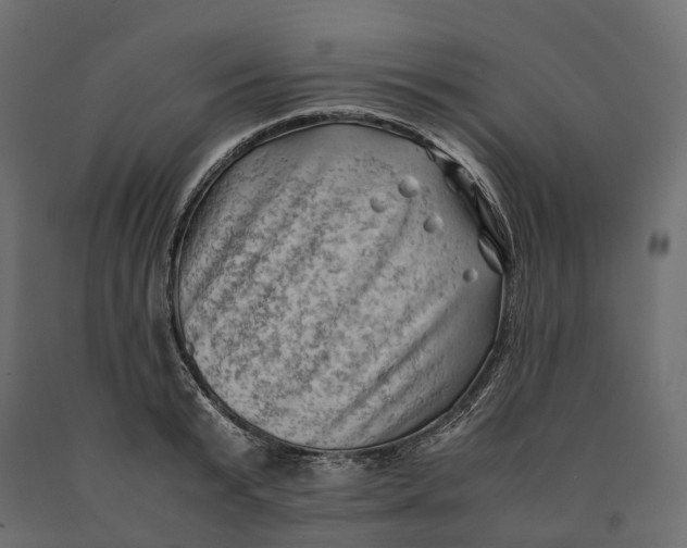 X0000090430799200708031128