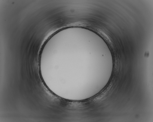 X0000090430800200708031128