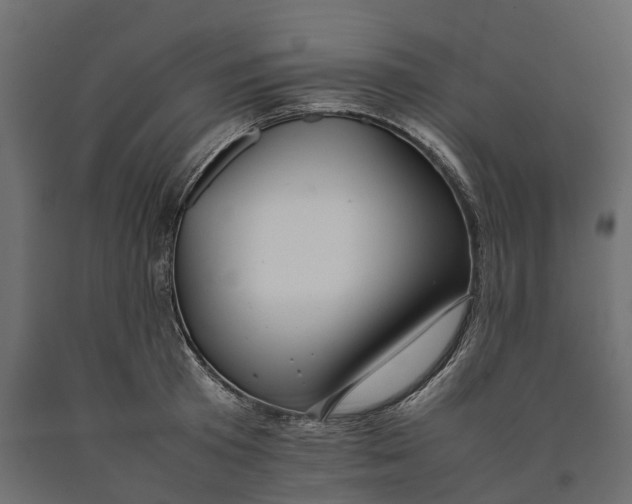 X0000090430801200708031128