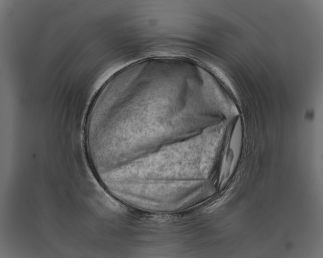 X0000090430803200708031128