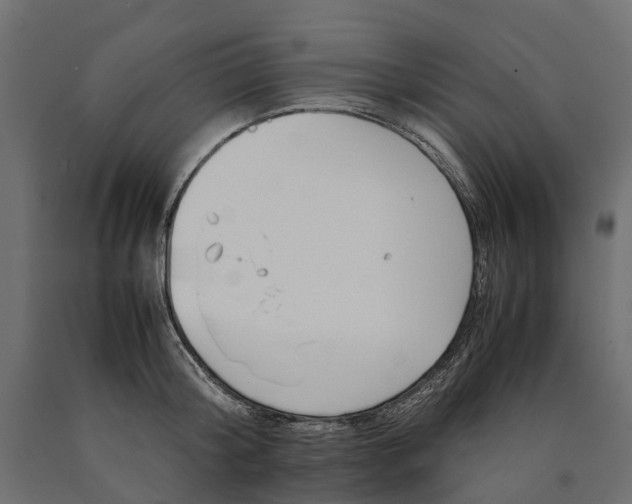 X0000090430804200708031128