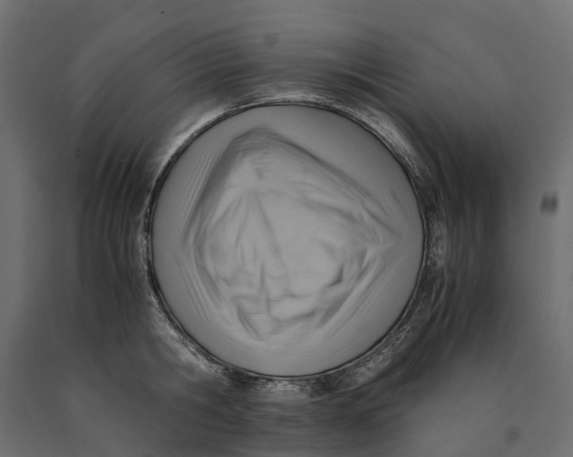 X0000090430806200708031128