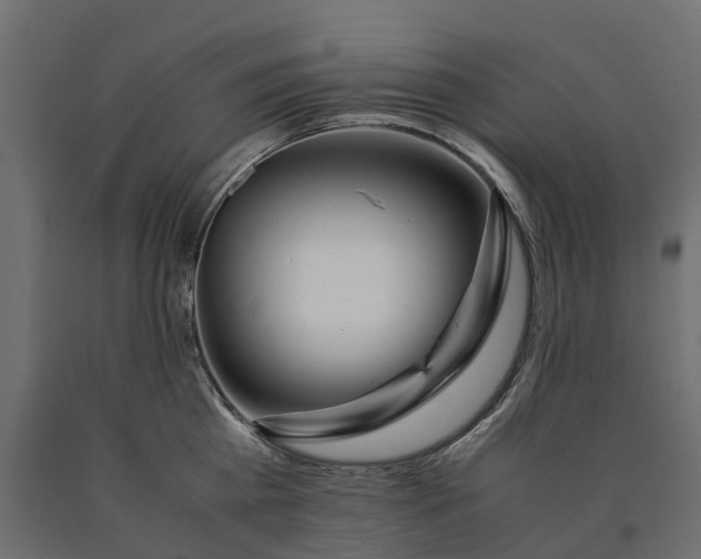 X0000090430809200708031128