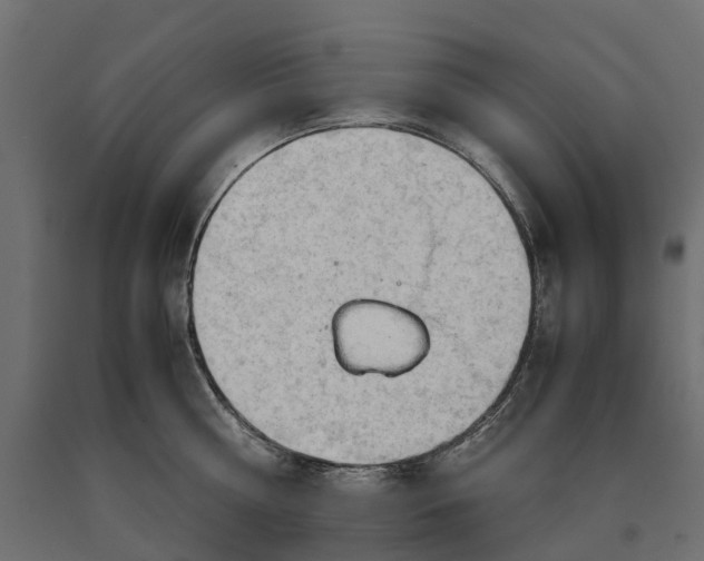 X0000090430810200708031128