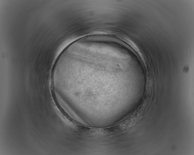 X0000090430811200708031128