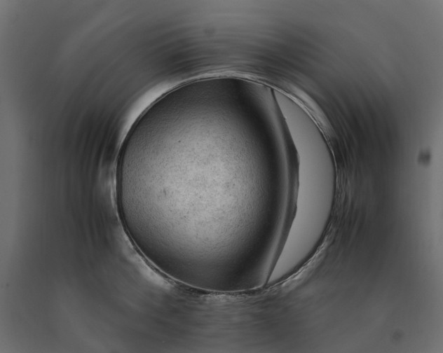 X0000090430812200708031128