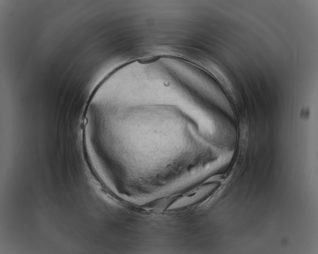 X0000090430814200708031128