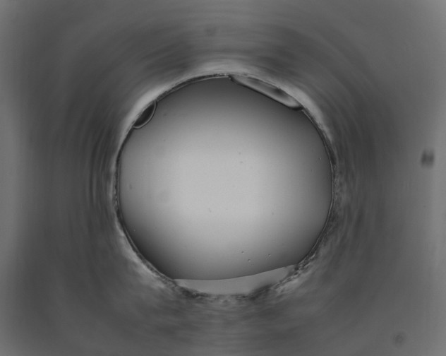 X0000090430815200708031128