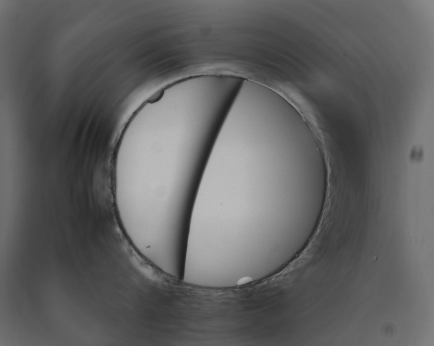 X0000090430816200708031128