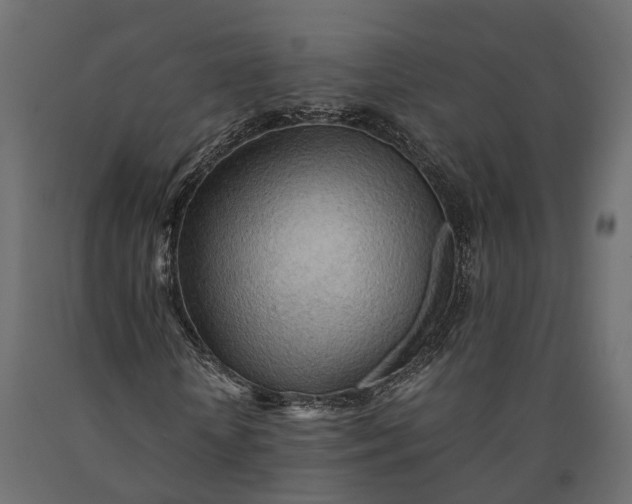X0000090430818200708031127