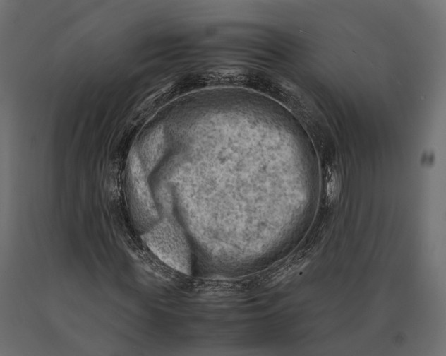 X0000090430819200708031127