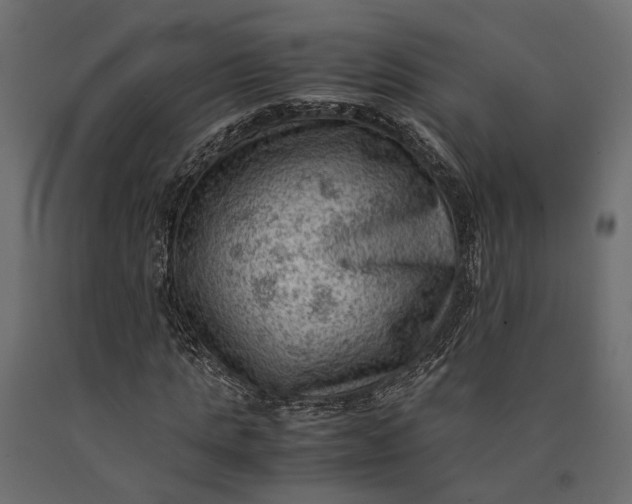 X0000090430821200708031127