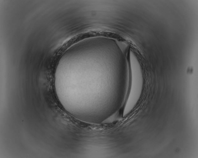 X0000090430822200708031127