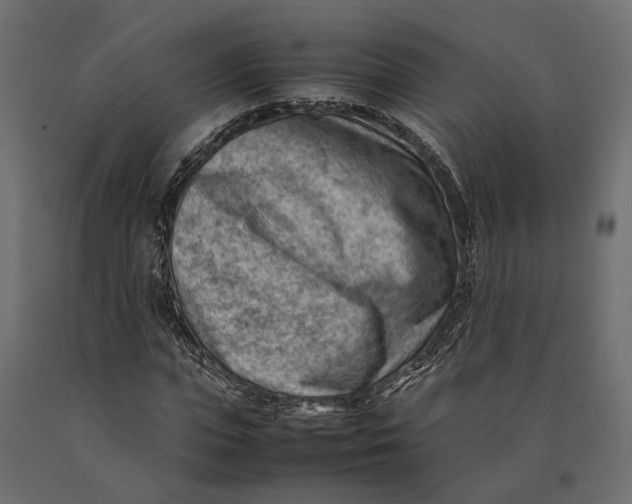 X0000090430823200708031127