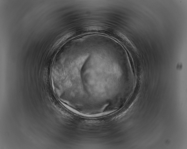X0000090430825200708031127