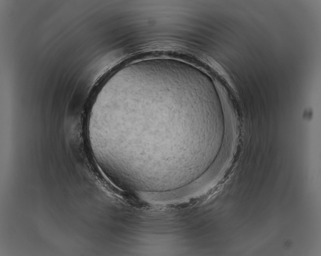 X0000090430826200708031127