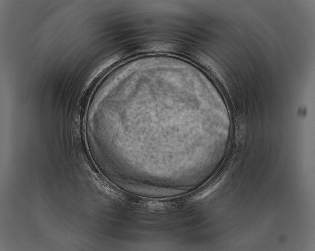 X0000090430827200708031127