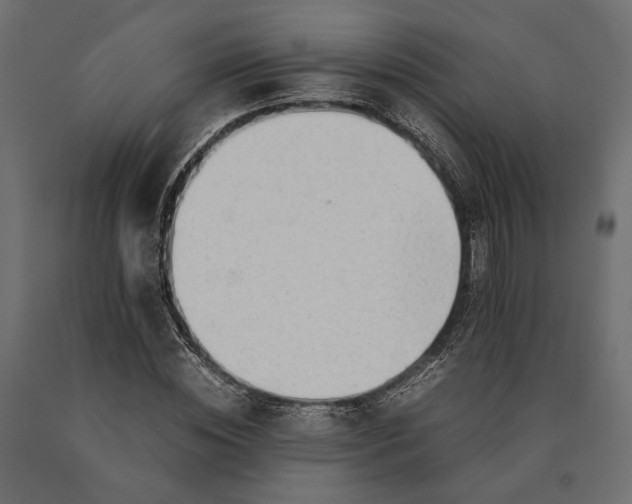 X0000090430828200708031127