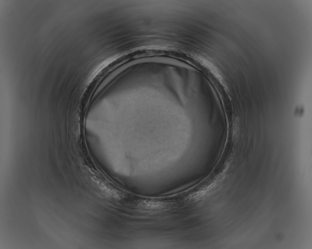X0000090430829200708031127