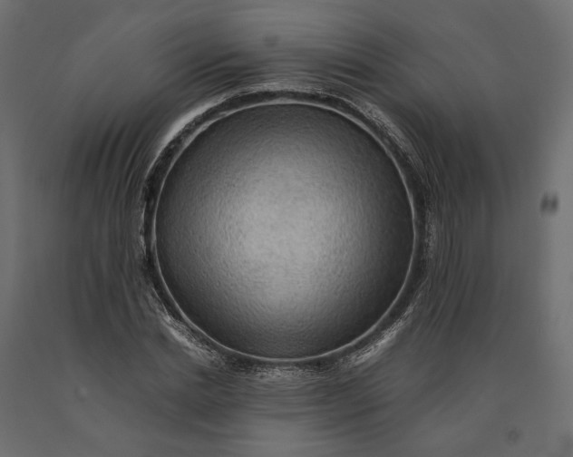 X0000090430830200708031127