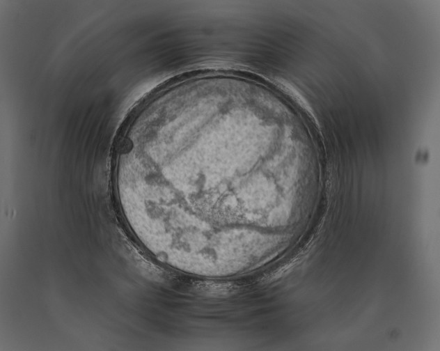 X0000090430831200708031127