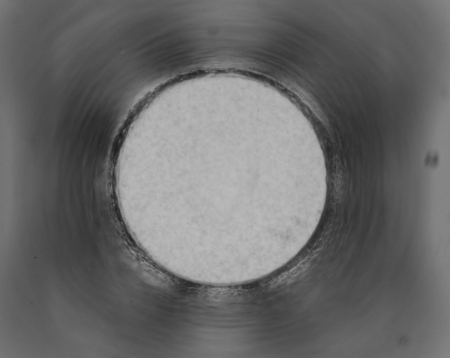 X0000090430832200708031127