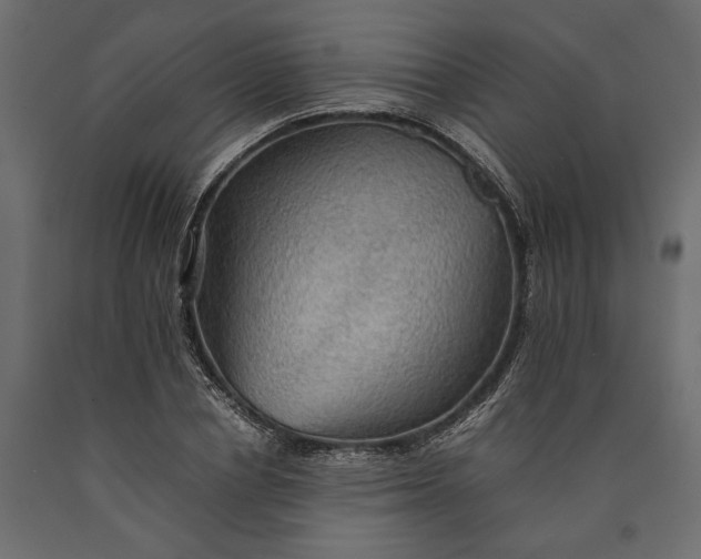 X0000090430834200708031128