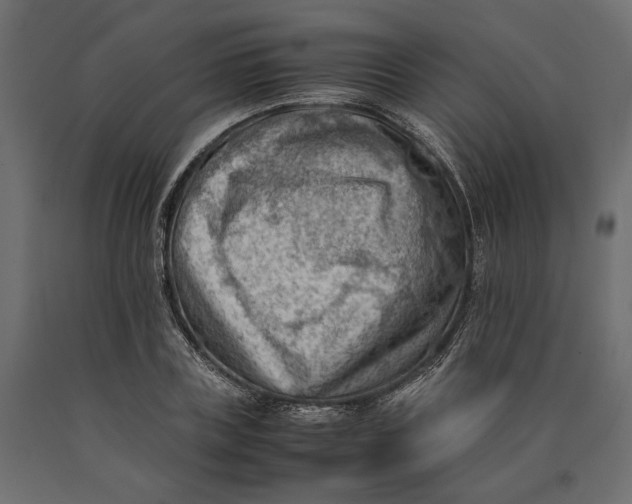 X0000090430835200708031128